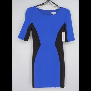 NWT bisou bisou dress